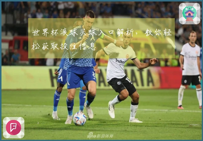 世界杯滚球买球入口解析，教你轻松获取投注信息
