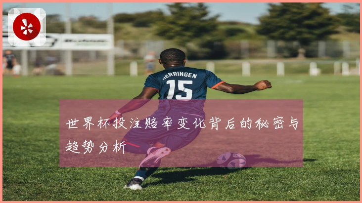 世界杯投注赔率变化背后的秘密与趋势分析