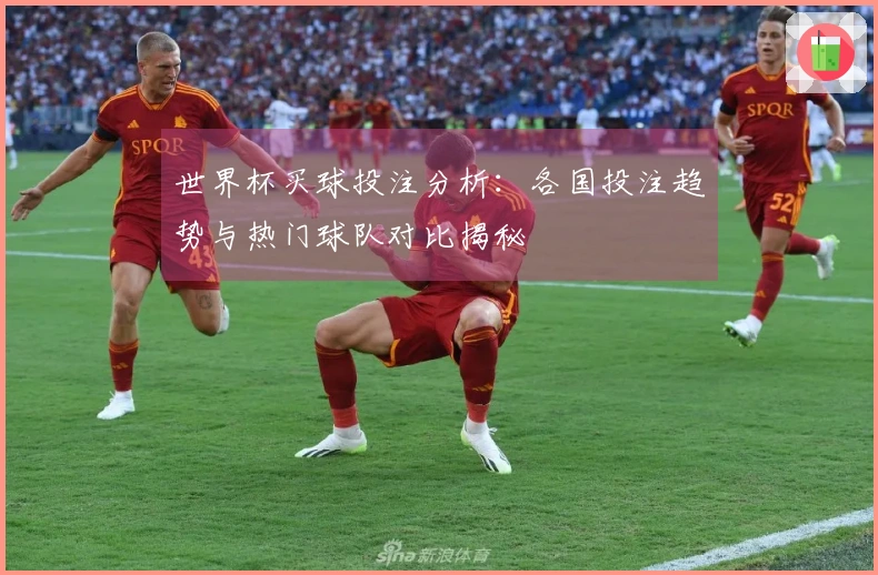 世界杯买球投注分析：各国投注趋势与热门球队对比揭秘