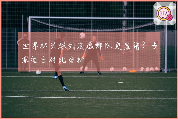 世界杯买球到底选哪队更靠谱？专家给出对比分析