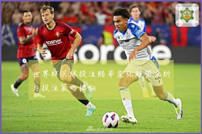 世界杯买球投注赔率变化趋势分析与投注策略揭秘