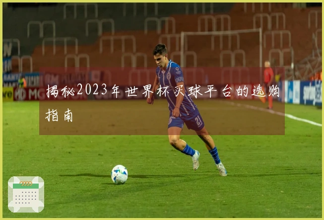 揭秘2023年世界杯买球平台的选购指南